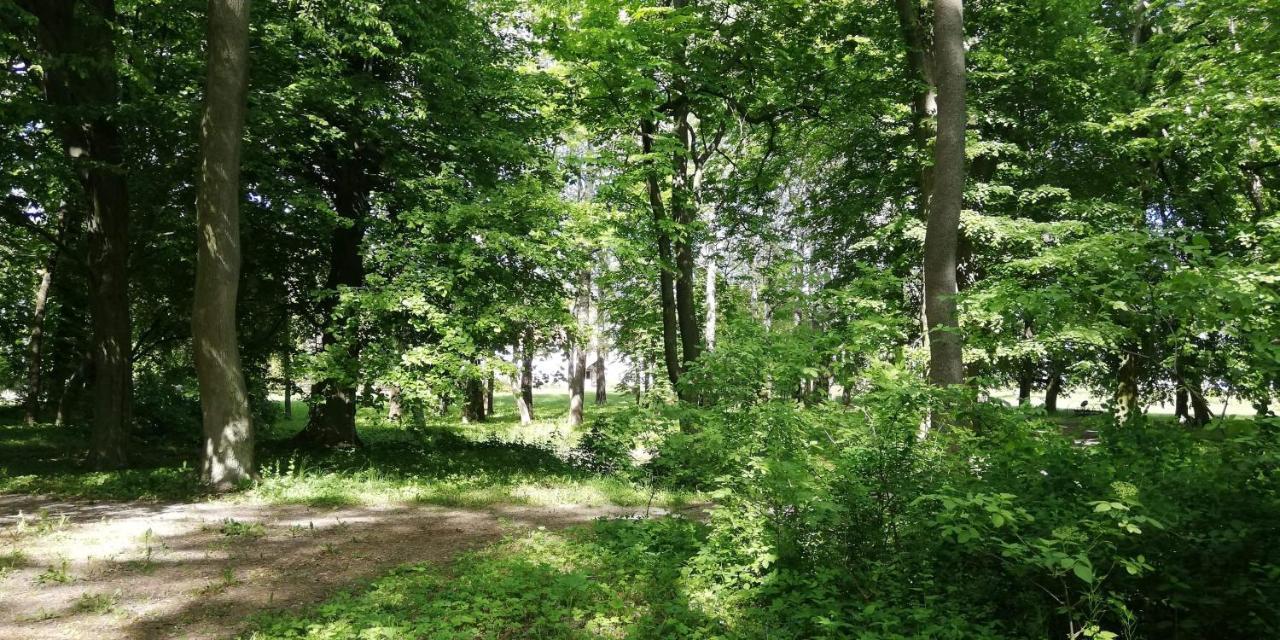 Dwor Komorowo Exterior foto